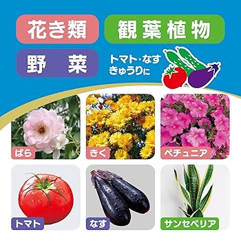 幼虫社 / 廃園 EDEN 2025年10月8日(9月12日10:00～受付)『風情を楽しむ日本庭園